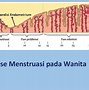 Jelaskan Pengertian Haid Menurut Ilmu Biologi